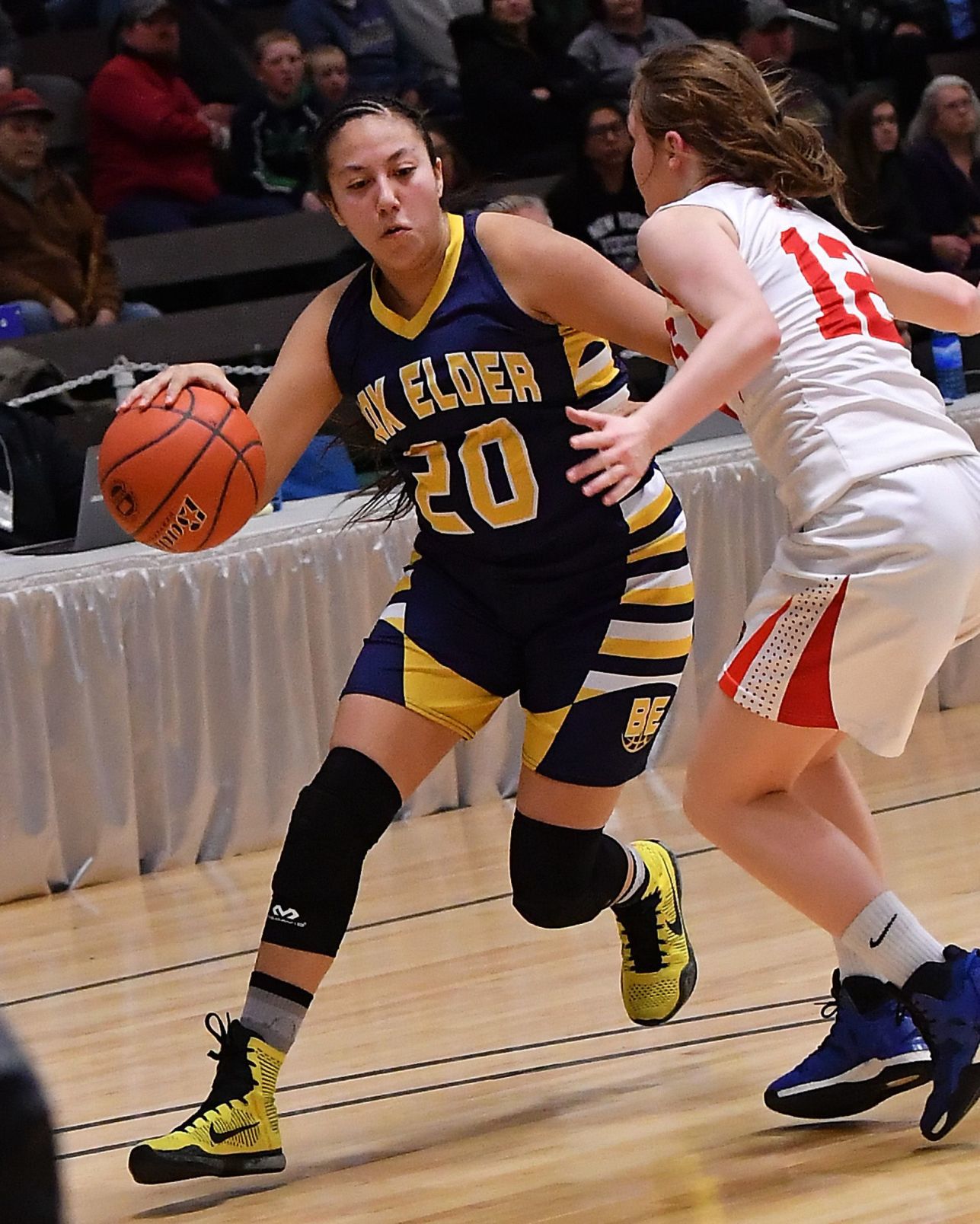 Lilly Gopher, Box Elder basketball
